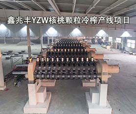 鑫兆丰YZW全自动核桃榨油机油厂项目案例
