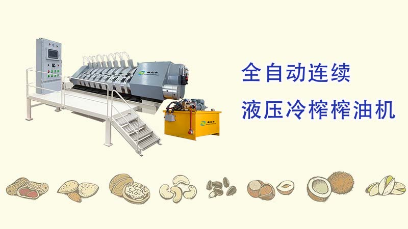 鑫兆丰YZYW全自动液压榨油机_一种可压榨可可、核桃、芝麻、花生、茶籽等需要分离油脂保留植物蛋白的高端液压榨油机