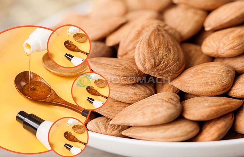 杏仁油两大品类解析：甜杏仁油与苦杏仁精油的核心区别